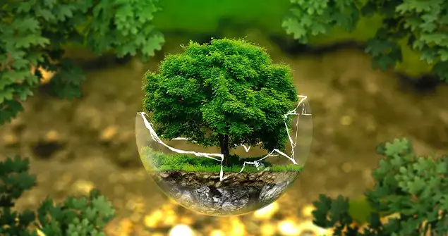 recent-project-img-5